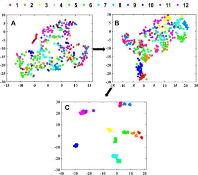Application of Laser-Induced Breakdown Spectroscopy Coupled With Spectral Matrix and Convolutional Neural Network for Identifying Geographical Origins of Gentiana rigescens Franch